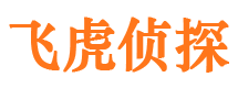 白玉市侦探调查公司